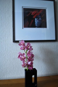 Orchid in decorative mug like pot.