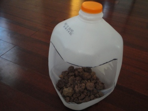 Lava rocks in milk jug. 