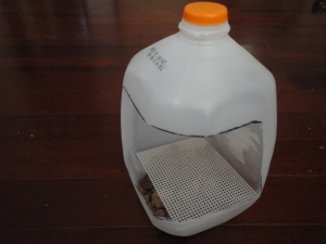 Plastic divider on lava rocks, in milk jug.
